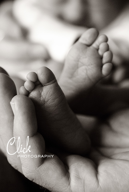 Colorado Springs newborn photography